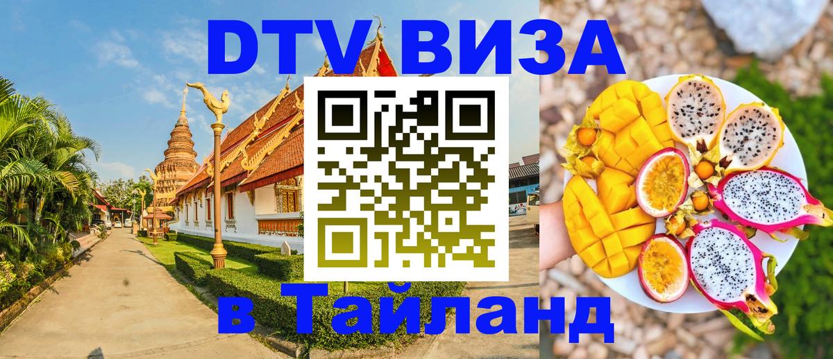 Оформление DTV визы под ключ: стоимость и тарифы, только загранпаспорт - 